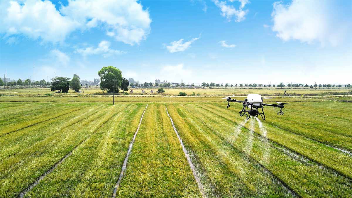 Achieve increased efficiency and productivity with the TopXGun FP300 30L agriculture drone, designed for high-yield wheat spraying at a rate of 14.6 ha/hr.