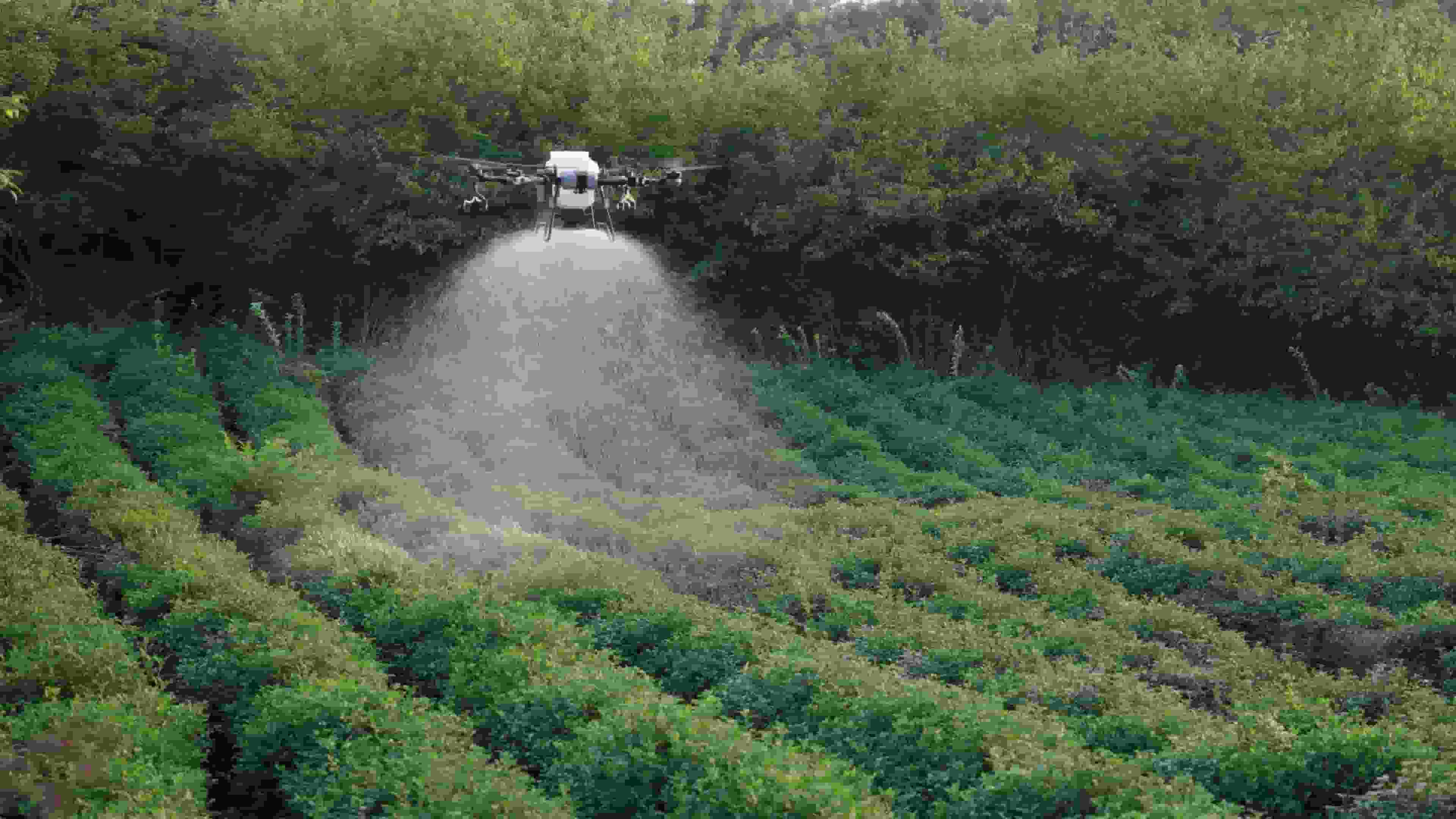 FP700's dual roller system provides an excellent solution, it features the SP6 centrifugal spreader, quick coverage, uniform spreading