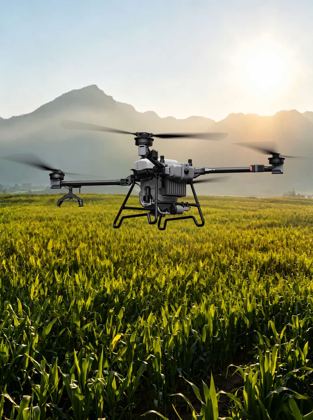 Agriculture